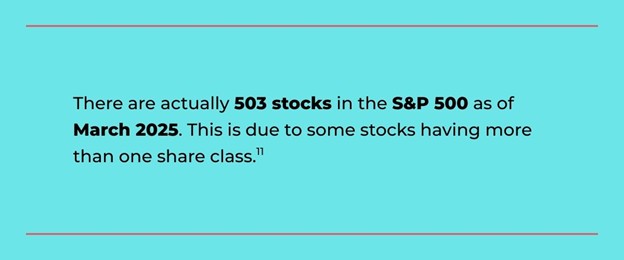 503 Stocks